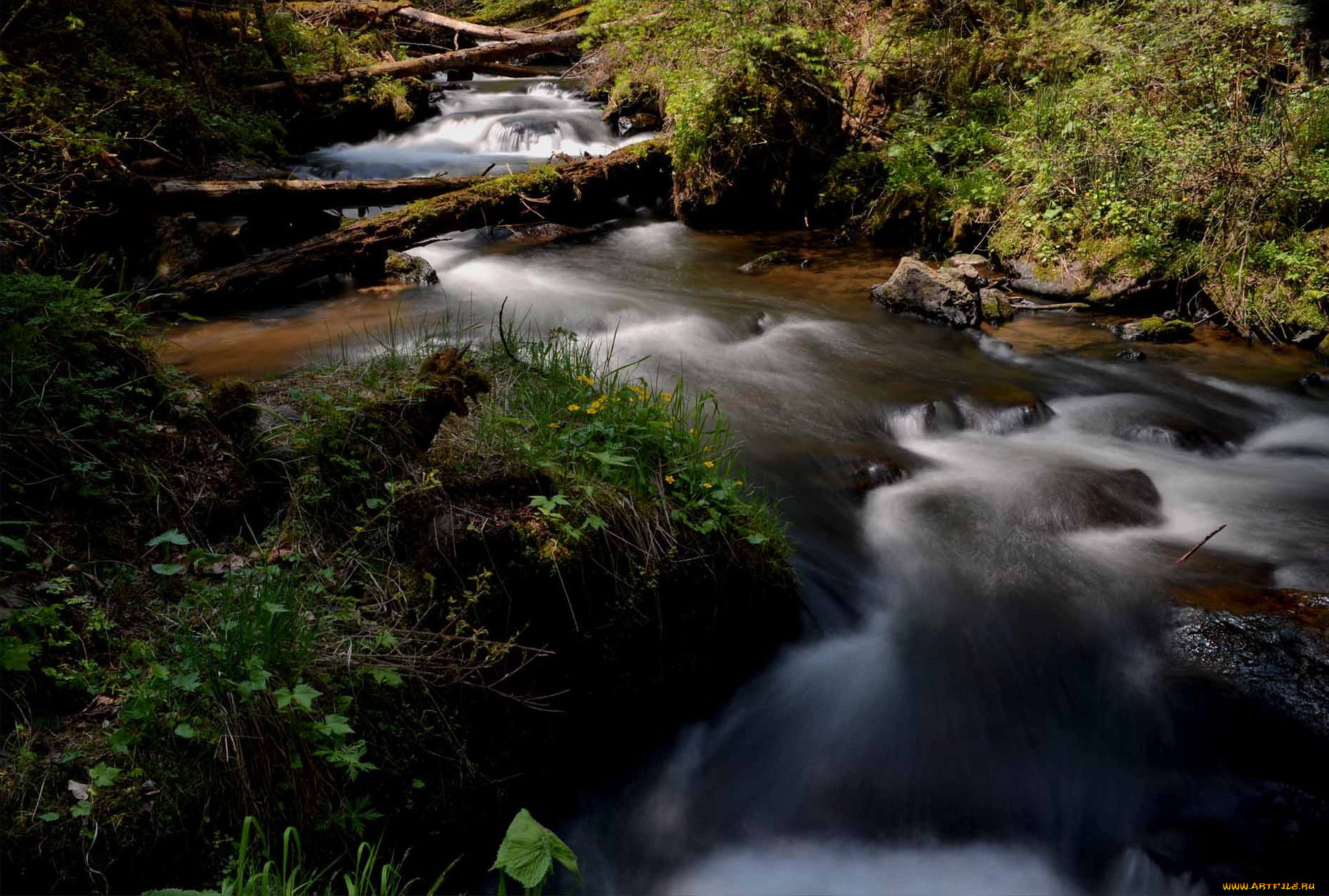 , , , river